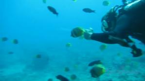 She swims like a cum loving mermaid