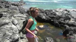 ATKporn You lose your hand in Hawaii
