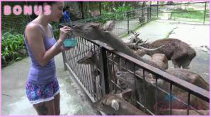 XXX Gia getting up close with some monkeys, and your cock!