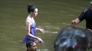 Gia getting up close with some monkeys, and your cock!