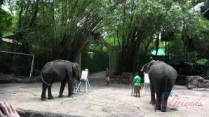 Kenzie meets all the wild animals she could imagine! xxx video
