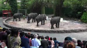 Jill meets a ton of wildlife. xxx video
