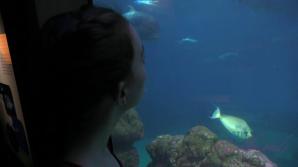ATK Danni has a great day out in Hawaii!