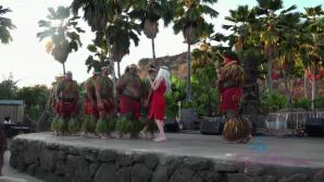 atkgirlfriends.com Elsa comes back to Hawaii with you.