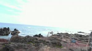 ATK Oh the road to Hana to stop and have Vera suck you off.