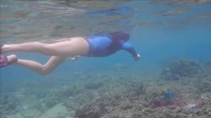 ATKporn Vera has the best day swimming with turtles.