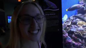ATK Victoria has a blast at the aquarium, and in the car after.