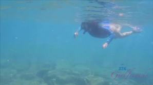 ATKporn You snorkel with Sophia, and she sucks you.