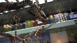 ATK You take Paris the the Natural History Museum
