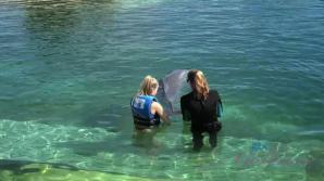 atkgirlfriends.com Paris gets to meet some dolphins!