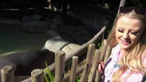 You take Paris to the zoo! xxx video