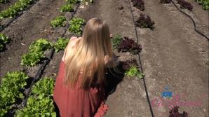 atkgirlfriends.com You take Paris to the farm!