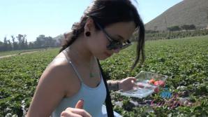XXX You take Mi Ha to the Farm!