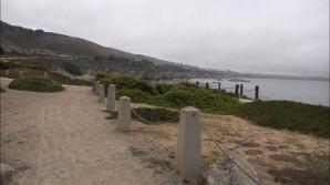 Paris visits the tide pools! xxx video