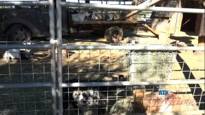 ATK Dez Hansen Farm Date Part 1