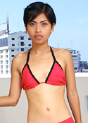Pla