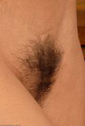 hirsute viki