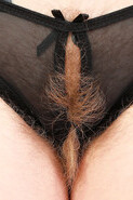 atk hairy apricot pitts